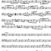 Sonata d minor - Continuo