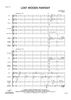 Lost Woods Fantasy - Score