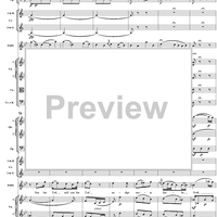 "Tiger! Wetze nur die Klauen", No. 13 from "Zaide", Act 2, K336b (K344) - Full Score