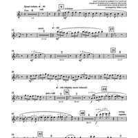 Babies - Flute 3/Piccolo