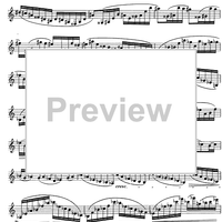 The Accomplished Clarinettist Vol. 2 - Clarinet