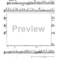 Quintet No. 3 - Flute