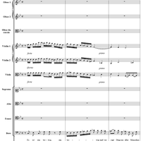 Es ist ein trotzig und verzagt Ding, BWV176