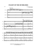 Flight of the Bumblebee - Score