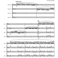 Flight of the Bumblebee - Score