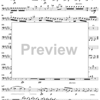 String Quartet No. 11 in E Major, Op. posth. 125, No. 2 - Cello