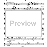 Of Thee I Sing - Flute