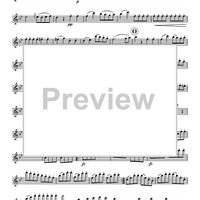 Overture in B-flat, D. 470 - Flute