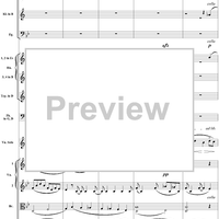 Violin Concerto No. 1, Movement 1 - Score