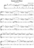 Sonata in D minor - K396/P435/L110