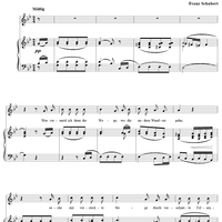 Winterreise (Song Cycle), Op.89, No. 20 - Der Wegweiser, D911 - No. 20 from "Winterreise"  Op.89