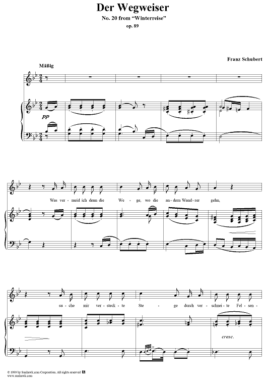 Winterreise (Song Cycle), Op.89, No. 20 - Der Wegweiser, D911 - No. 20 from "Winterreise"  Op.89