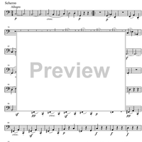 String Quintet C Major Op.29 - Cello