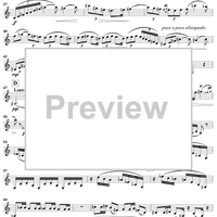 Kleine Kammermusik für fünf Bläser - Clarinet