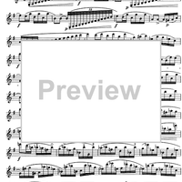 The Accomplished Clarinettist Vol. 1 - Clarinet