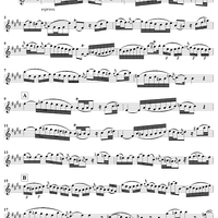 Flute Sonata No. 6 - Flute