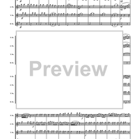 Sonoran Spice - Score