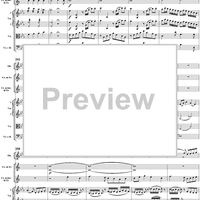 Horn Concerto No. 4 in E-flat Major, K495