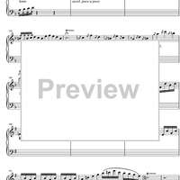 Argentinian Rhapsody - Marimba