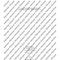 Sen VI - Performing Score