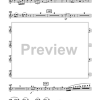 Divertimento for Tuba and Concert Band - Flute 2
