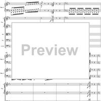 Le carnaval des animaux, No. 11: Pianists - Score