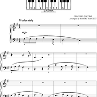 O Mio Babbino Caro (from the opera "Gianni Schicchi") (Theme)