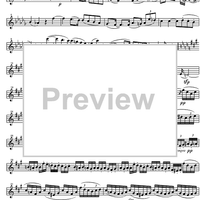 Piano Trio No. 2 f minor Op.80 - Violin