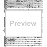 Double Concerto for Recorder and Flute in E minor - Score
