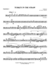 Turkey in the Straw - Euphonium 2 BC/TC