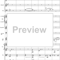 Violin Concerto No. 1, Movement 3 - Score