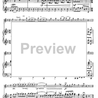 Concerto in F Major for Flute, Strings and Cembalo - Piano Score