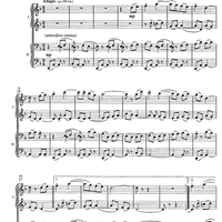 Post scriptum Op.39 bis