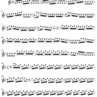 Flute Concerto in F Major, Op. 10, No. 1 ("La Tempesta di Mare") - Flute