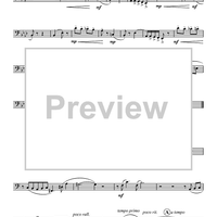 Suite for Horn and Tuba - Tuba