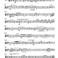 String quartet No. 2 - Viola