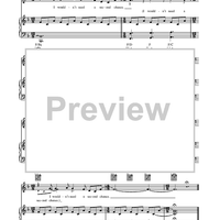 Bright Lights and Cityscapes