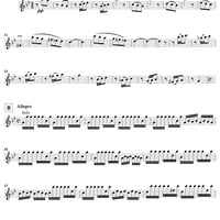 The Four Seasons, No. 2: Summer - Solo Violin