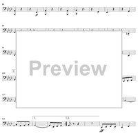 Springtime Festival - Basses