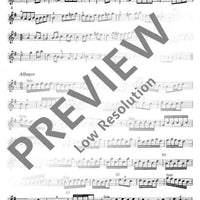 Concerto G Major - Treble recorder