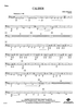 Caliber - Tuba