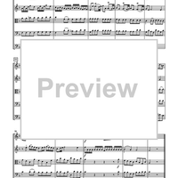 Quintet in the Key of Flexible (TWV 44:11) - Score