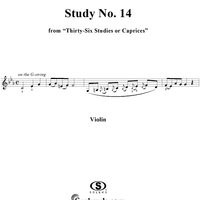 Study No. 14