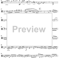 Duet No. 2 in A Minor - Viola 2