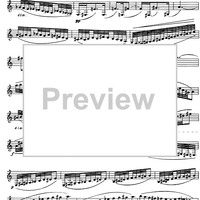 Preliminary studies to 'The Accomplished Clarinettist' Vol. 3 - Clarinet