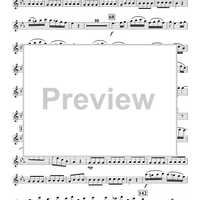 Concerto in E-flat - Flute 1