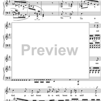 Mignon: Kennst Du das Land wo die Zitronen blühn Op.79 No.29