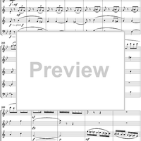 Suite for Woodwind Quintet, No. 3: Finale - Score