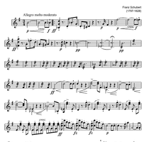 String Quartet No.15 G Major D887 - Violin 2