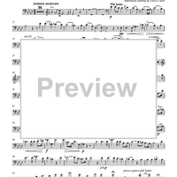 Elsa’s Dream from the Opera Lohengrin